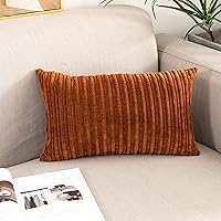 Vista 698 de UGASA - Juego de 2 fundas de almohada de terciopelo a rayas, funda decorativa para cojín con cremallera oculta para el hogar, sofá, dormitorio