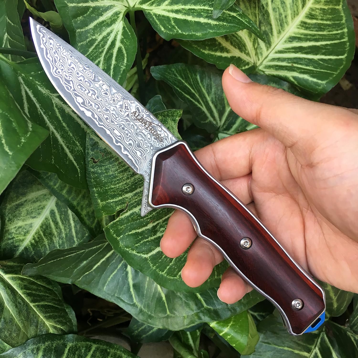 ALBATROSS Premium Damascus Folding Knife - EDC Pocket Knife with Cocobolo Wood Handle, 3.5" Blade, Liner Lock System - Outdoor Camping Hunting Survival Tool - Gift for Men-HGDK001