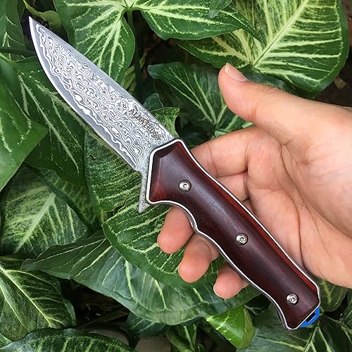 Miniatura 7 de ALBATROSS HGDK001 EDC Classic Damasco plegable Camping Pocket Cuchillos con trazador de líneas, mango de madera Cocobolo, regaloscolecciones