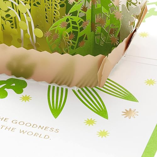 Miniatura 5 de Hallmark Signature Paper Wonder - Tarjeta de agradecimiento emergente, suculentas, tarjeta del día de enfermeras, agradecimiento al profesor, regalo