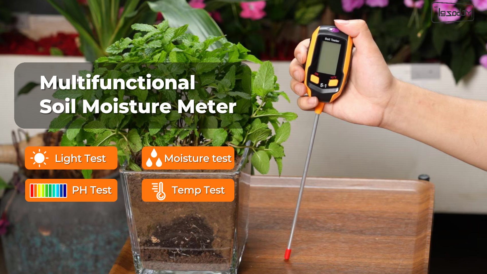 Misuratore di umidità del Suolo, misuratore di PH del Suolo 4 in 1, Display LCD, Temperatura