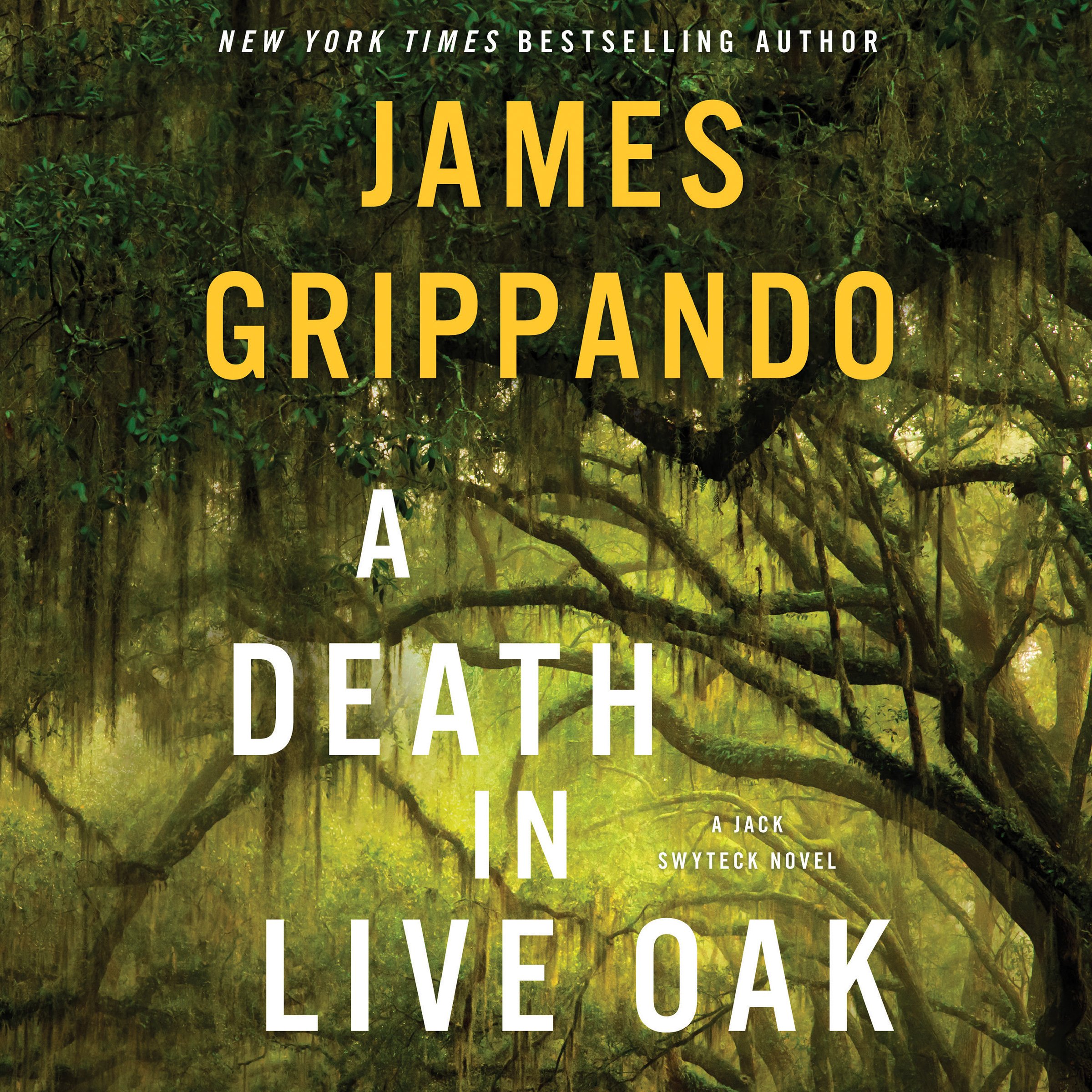 Cover art for A Death in Live Oak