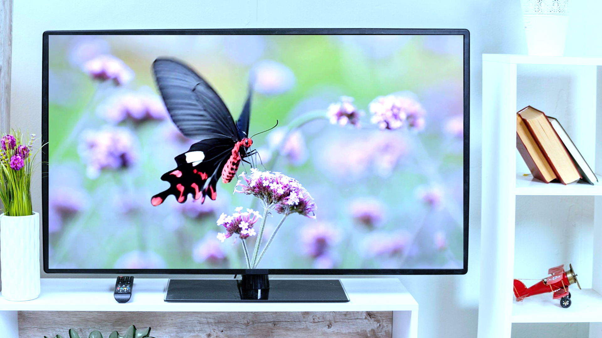 Serene Butterfly Ambience Screensaver For Tablets And Fire TV - App on ...