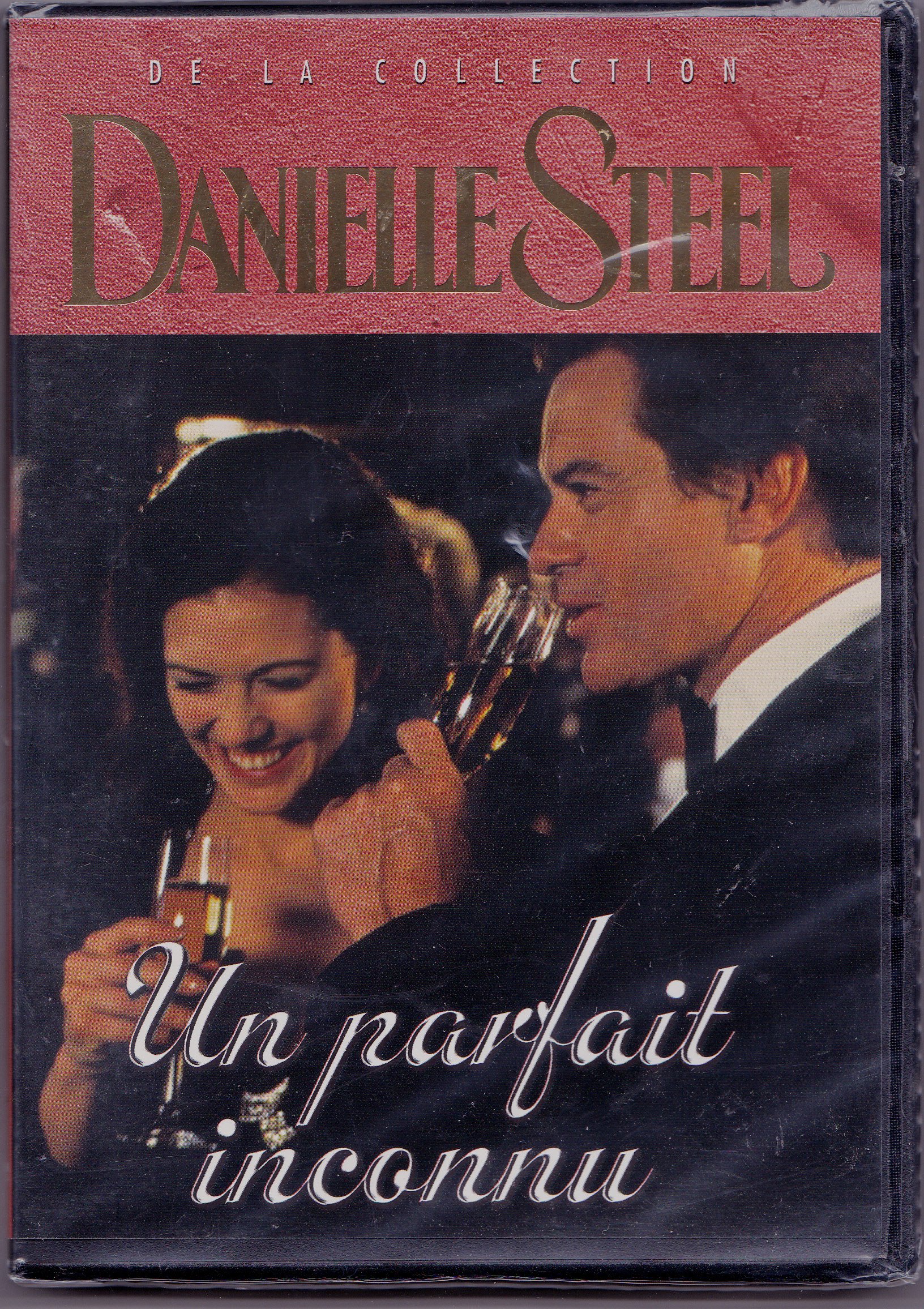 Danielle Steel - Un parfait inconnu [DVD]