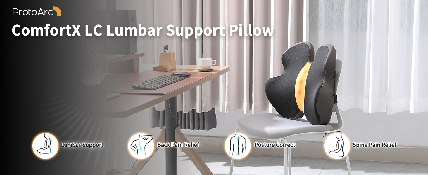 Amazon.com: ProtoArc Lumbar Support Pillow, ComfortX LC Ergonomic