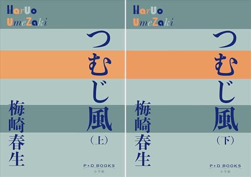 [まとめ買い] つむじ風