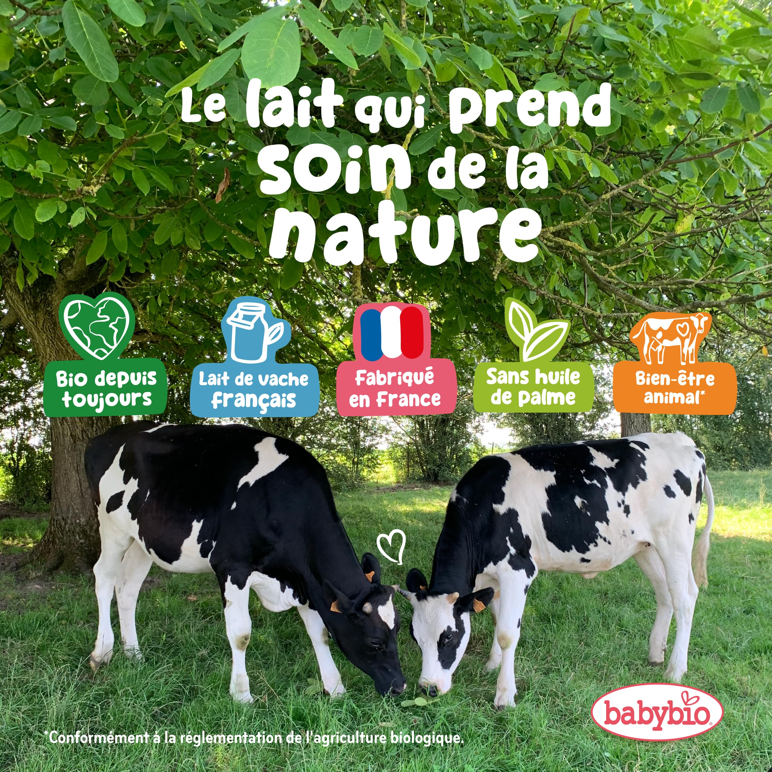 Babybio - Lait Infantile - Optima 2ème Âge avec Fibres - 800g - dès 6 Mois - BIO - Fabriqué en France - Sans Huile de Palme - Lot de 3