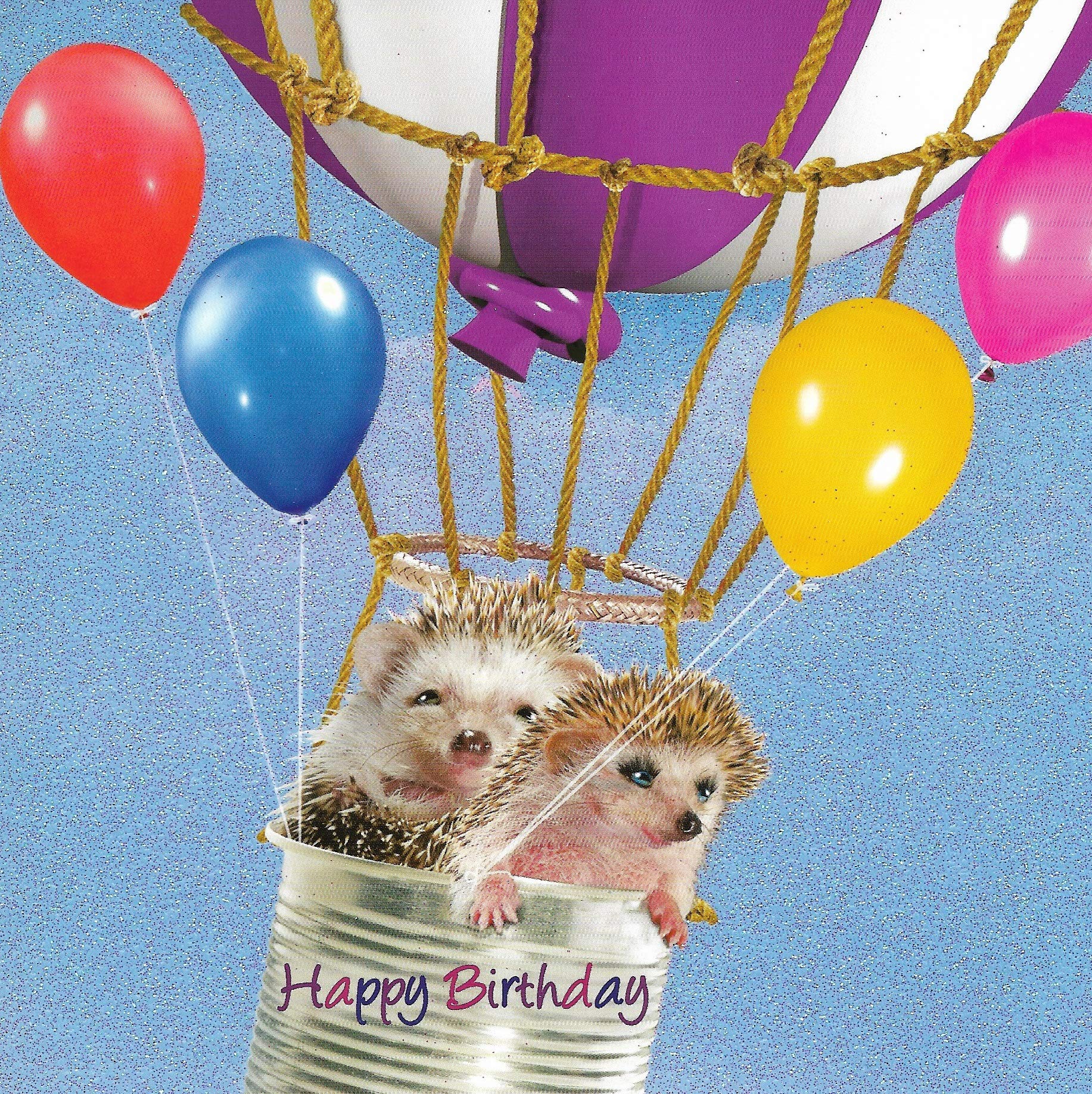 Birthday Card - Premium Quality - Pickles and Penny