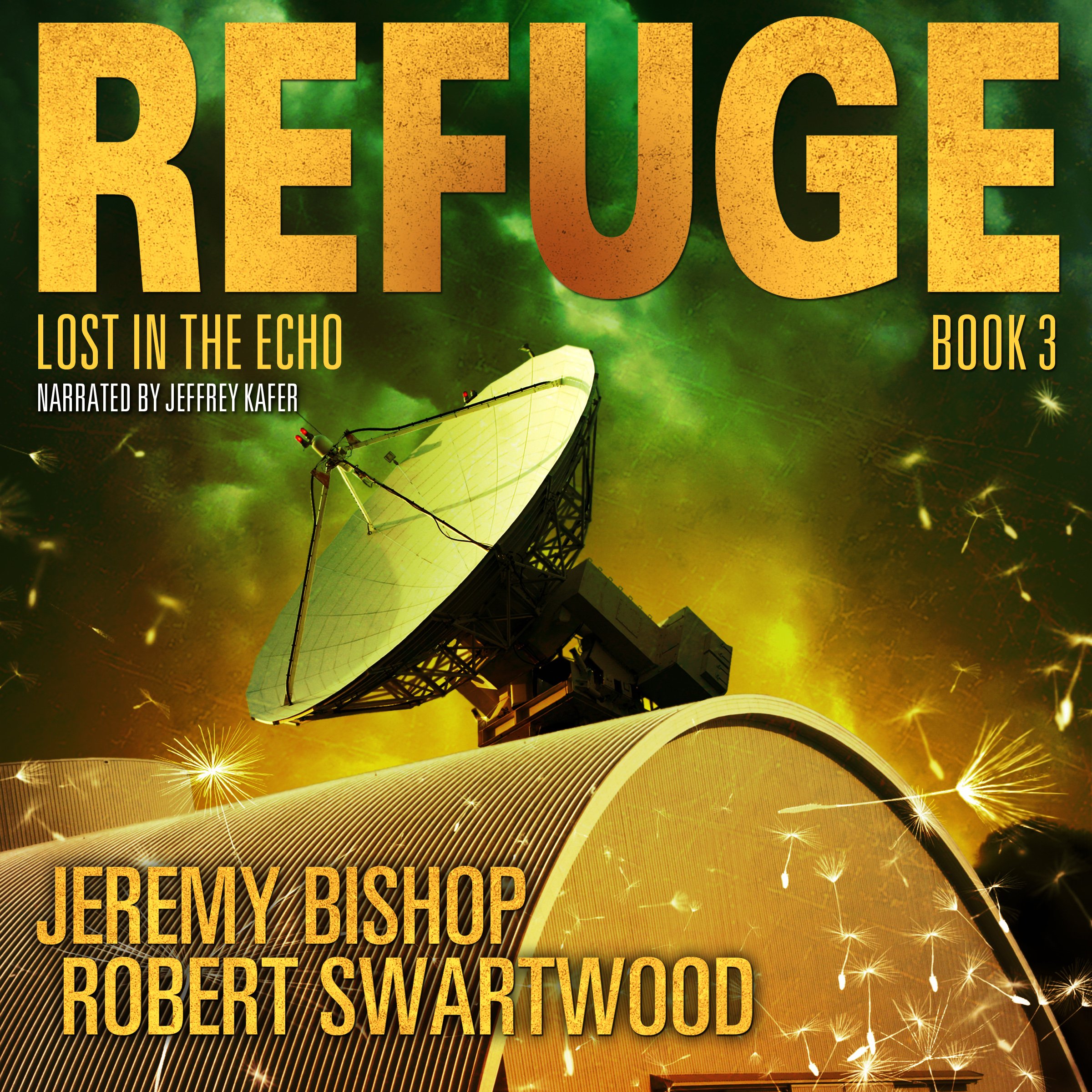 Cover art for Lost in the Echo