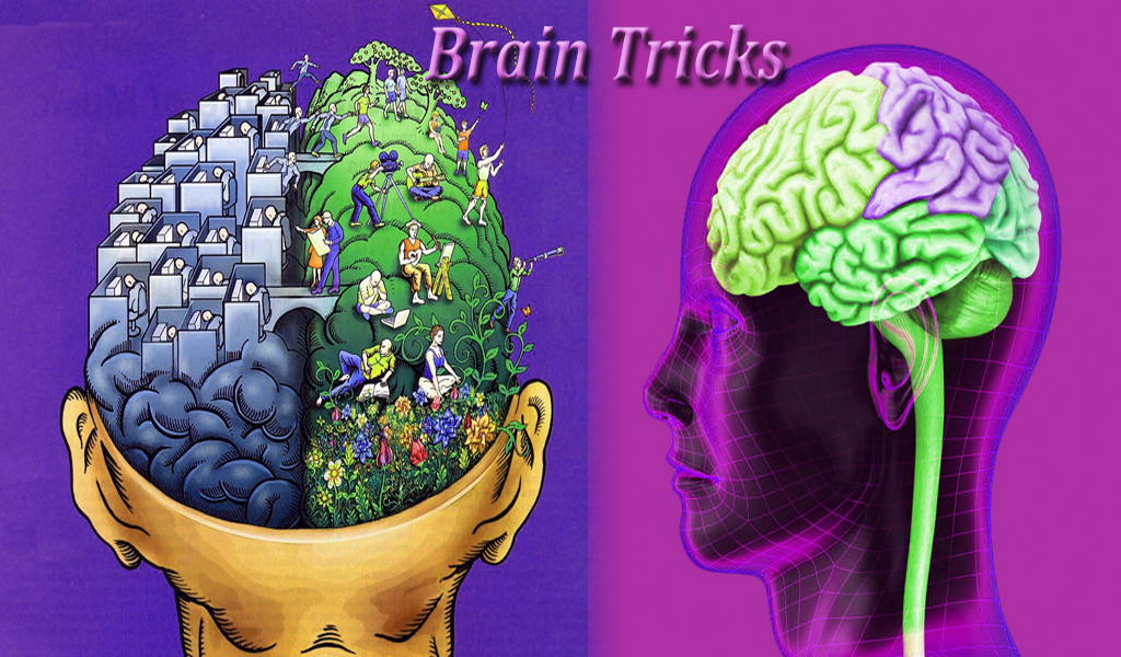 Brain Tips - App on Amazon Appstore