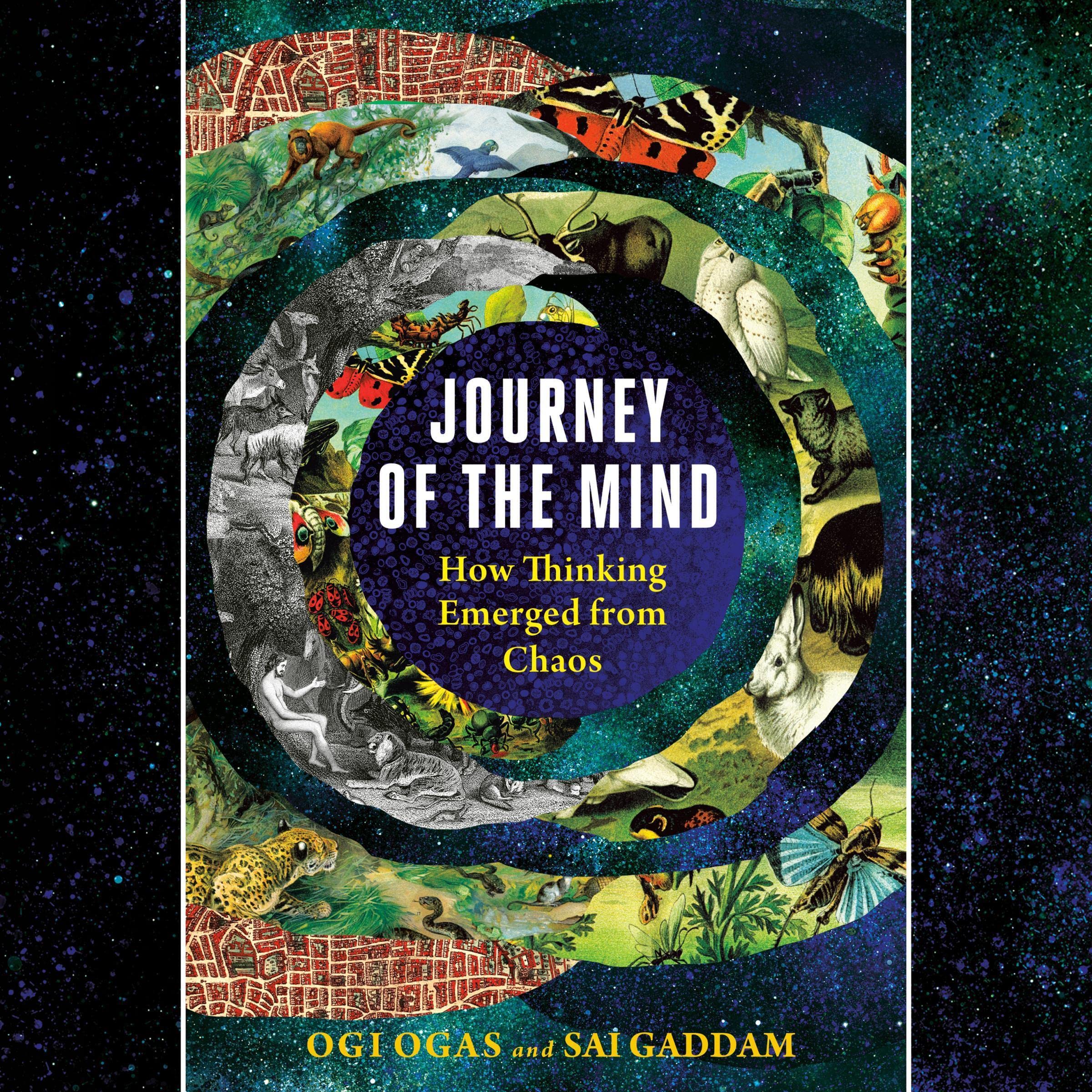 Cover art for Journey of the Mind
