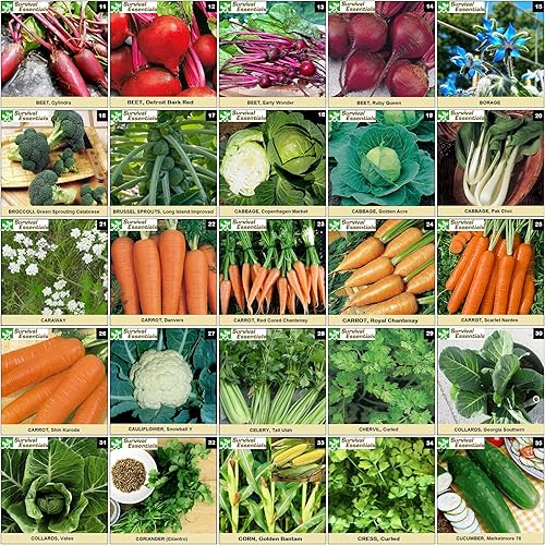 Miniatura 6 de Banco de semillas Survival Essentials 135 variedades criollas premium sin OMG no híbridas 23335 semillasSuper value pack todo en uno vegetales