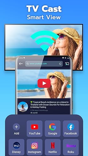 Universal TV Remote Control