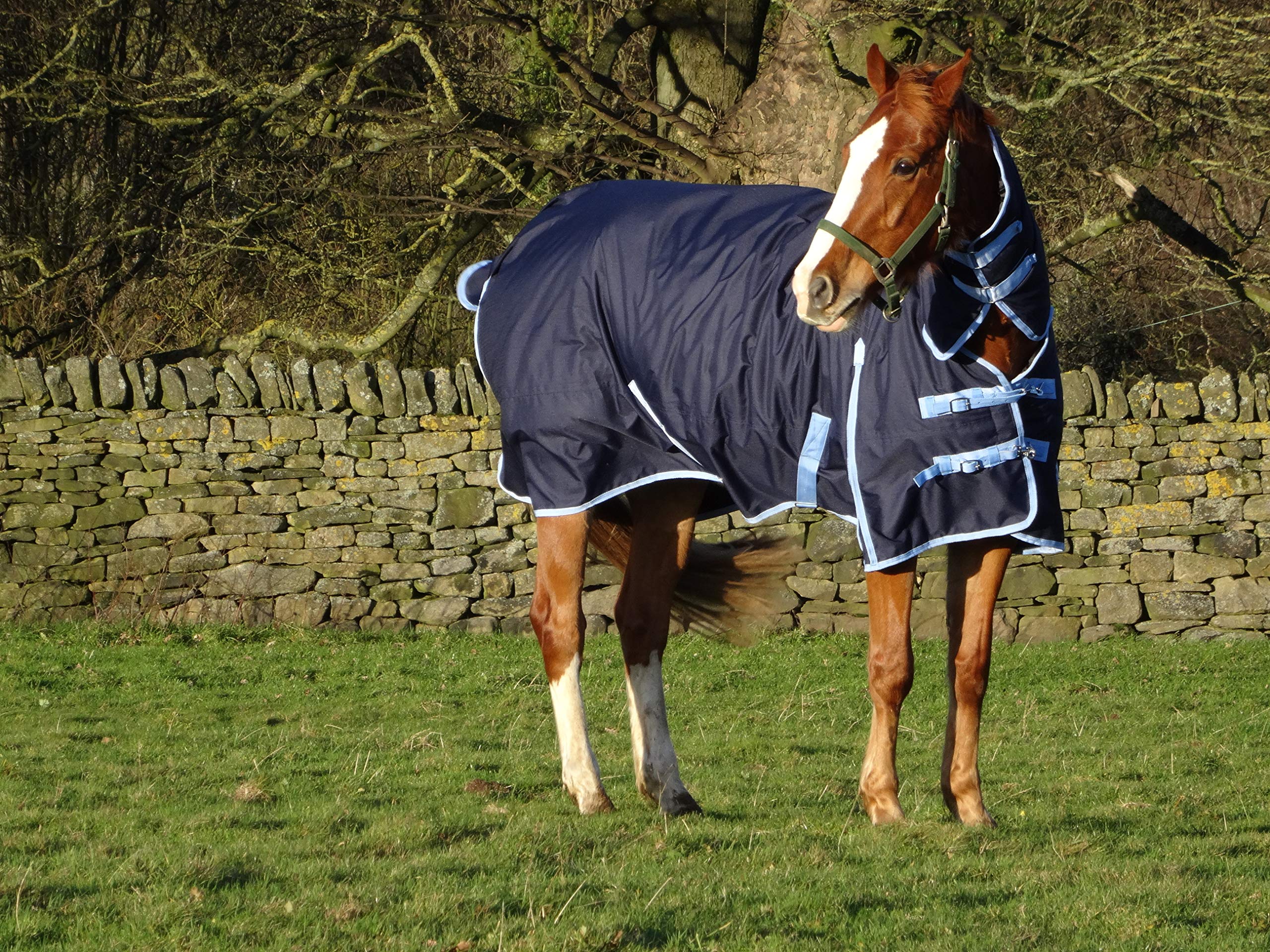 Turners Mediumweight Combo 200g Fill Waterproof Turnout Rug with Neck 5'3