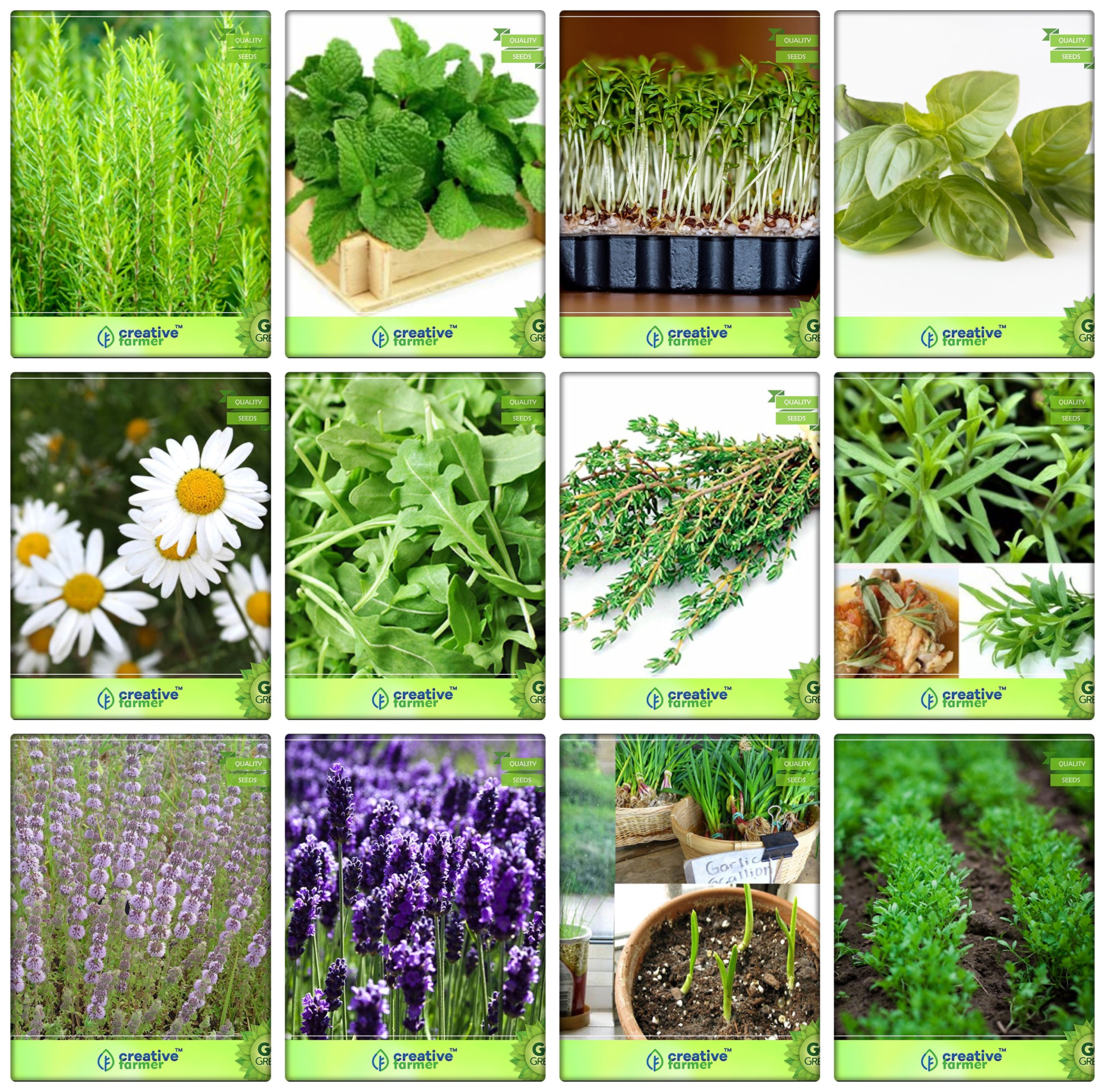 Creative Farmer Herb Seeds Combo For Kitchen Garden Rosemary, Mint, Cress Common, Lemon Basil, German Chamomille, Wild Rocket, Thyme English Winter, Terragon, Penny Royal and Others -3 Packs (B078V2HV2W) Amazon Price History, Amazon Price Tracker