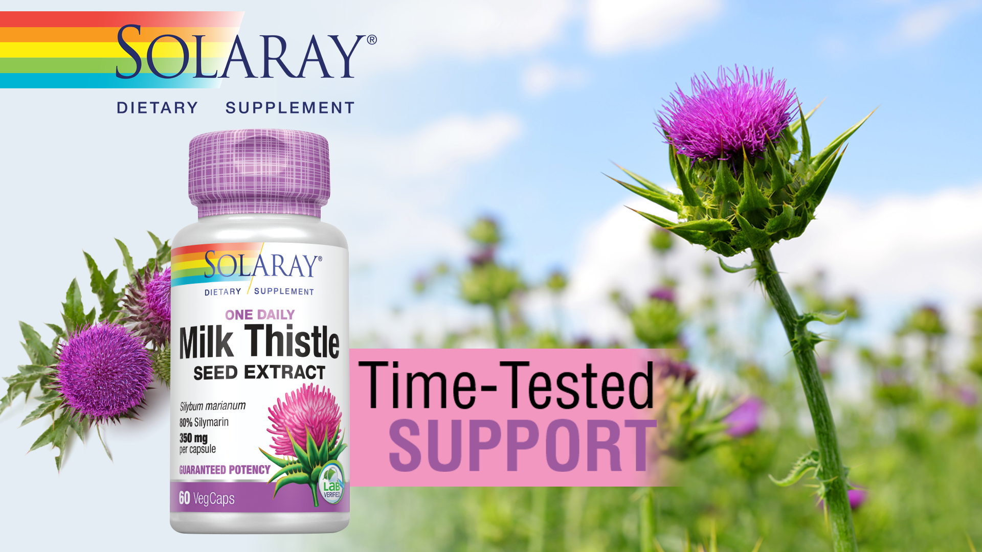 milk thistle and semaglutide Amazon.com: SOLARAY Milk Thistle Seed Extract 175mg Antioxidant Intended to  Help Support a Normal, Healthy Liver Non-GMO & Vegan 120 VegCaps : Health &  Household