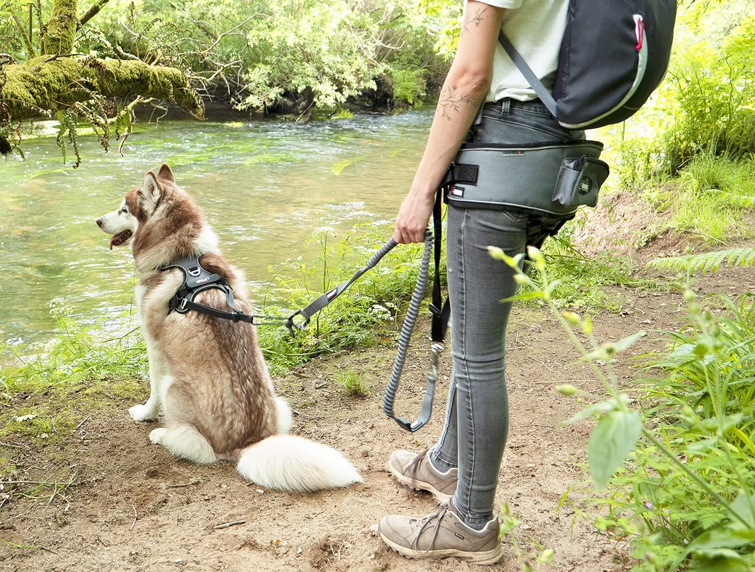 I-dog harness style (S) - Image 5