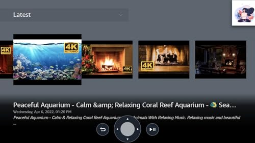 Amazing Fish Aquariums In 4K