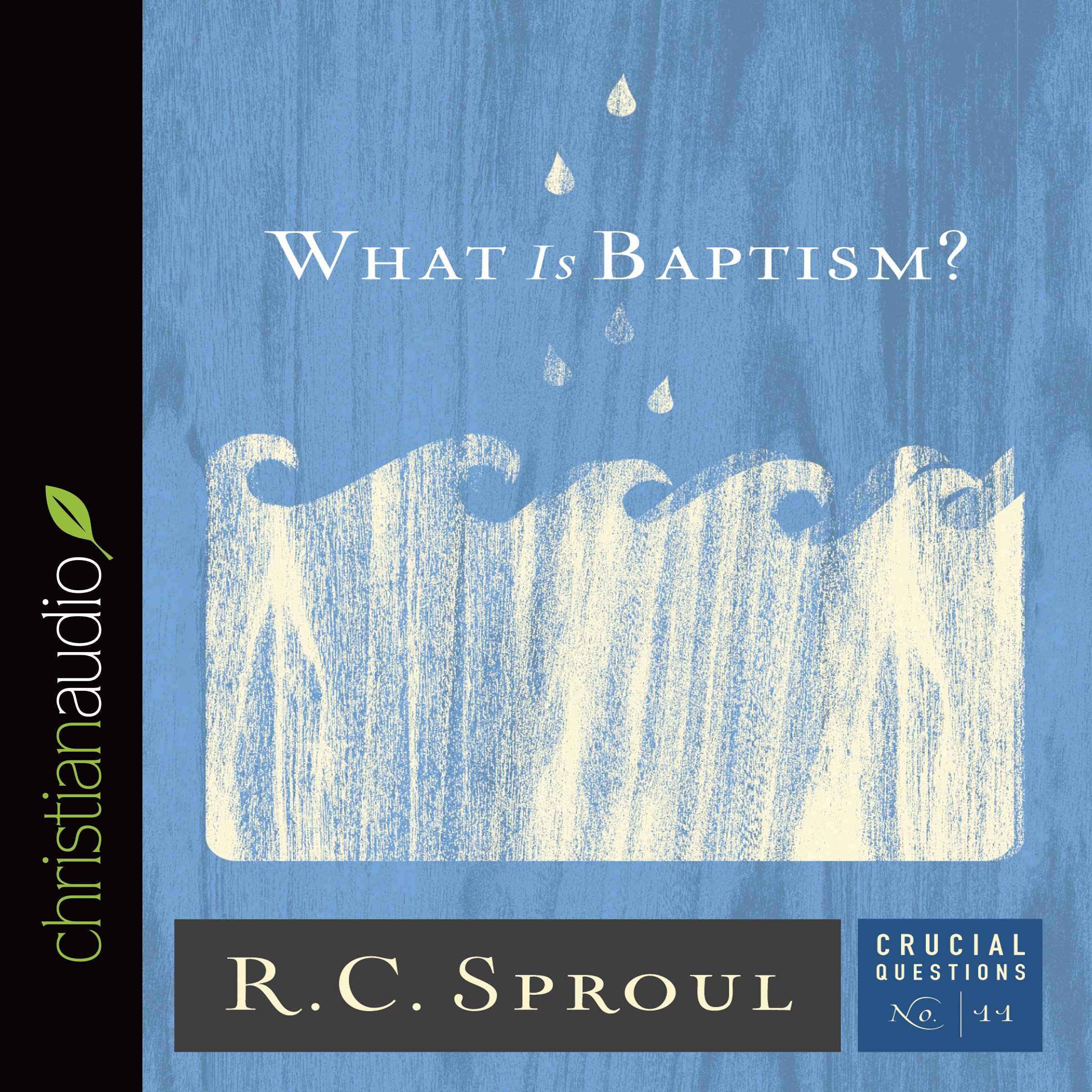 Cover art for What Is Baptism?