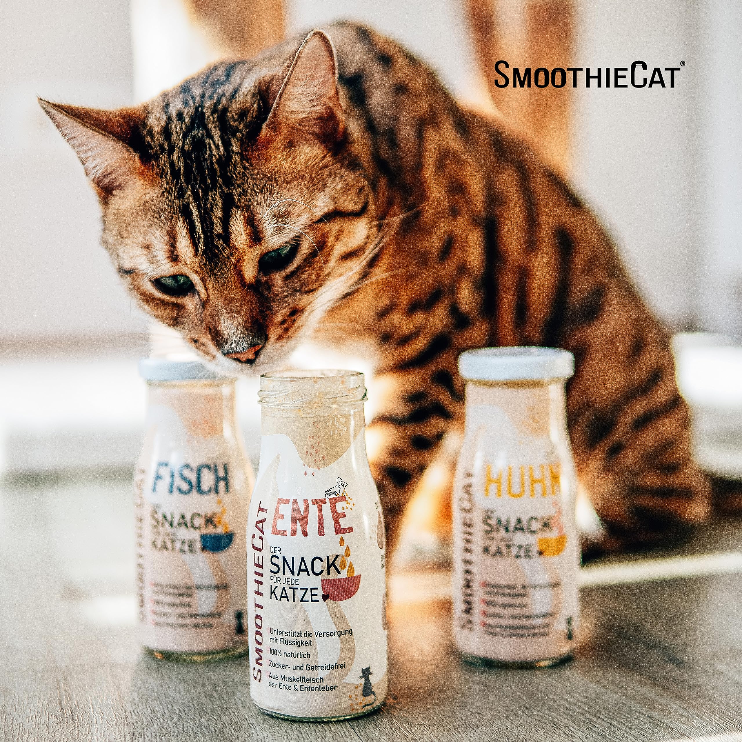 Katzen Smoothie SmoothieCat 12er Mix + Lickimat Casper Grün - je 4X: Huhn, Ente, Fisch - Flüssignahrung für Katzen - Katzensuppe - Zucker- & glutenfrei - Schleckmatte - je 150ml
