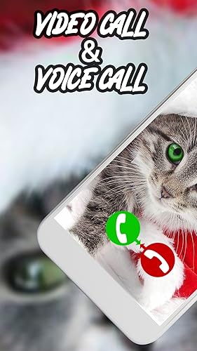 Insant Call from Chrismas Cat - video call with Chrismas Cat - Prank Video Call & Voice Call from Ch