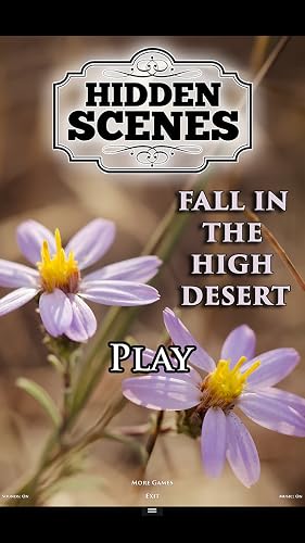 Hidden Scenes - Fall in the High Desert – vue 2