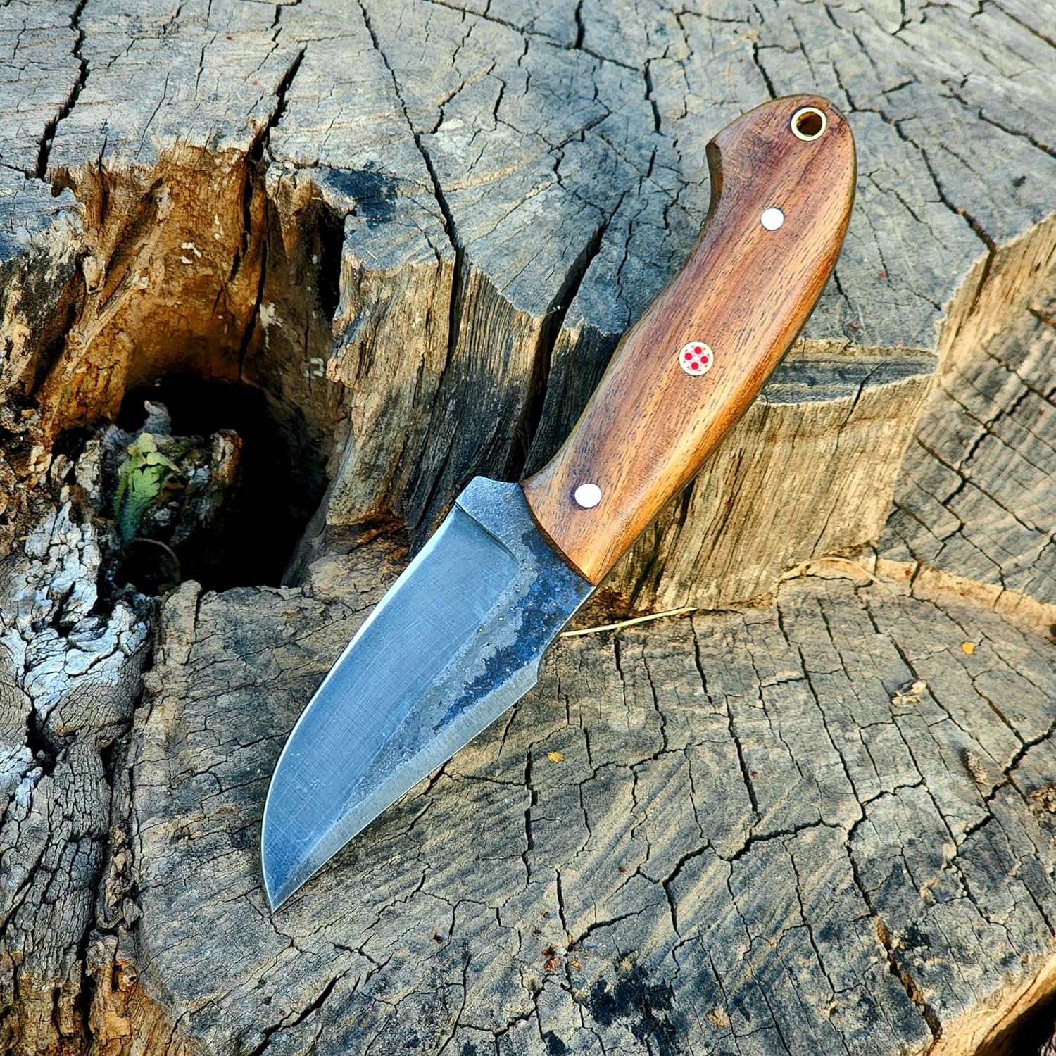 Wolf Cut Handmade 1095 Steel Hunting knife Fixed Blade knife, Rose Wood Handle Bull Cutter Knife, EDC Utility knife Cowboy Knife 1095 Steel Knife Bushcraft knife Skinning Knife with leather Sheath (Rose Wood)