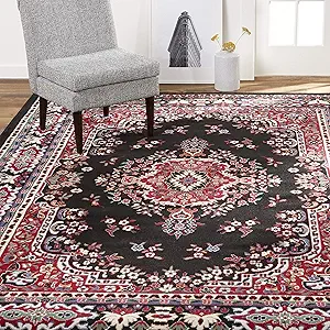 Home Dynamix Premium Sakarya Traditional Medallion Border Area Rug, Black, 7'8"x10'7" Rectangle