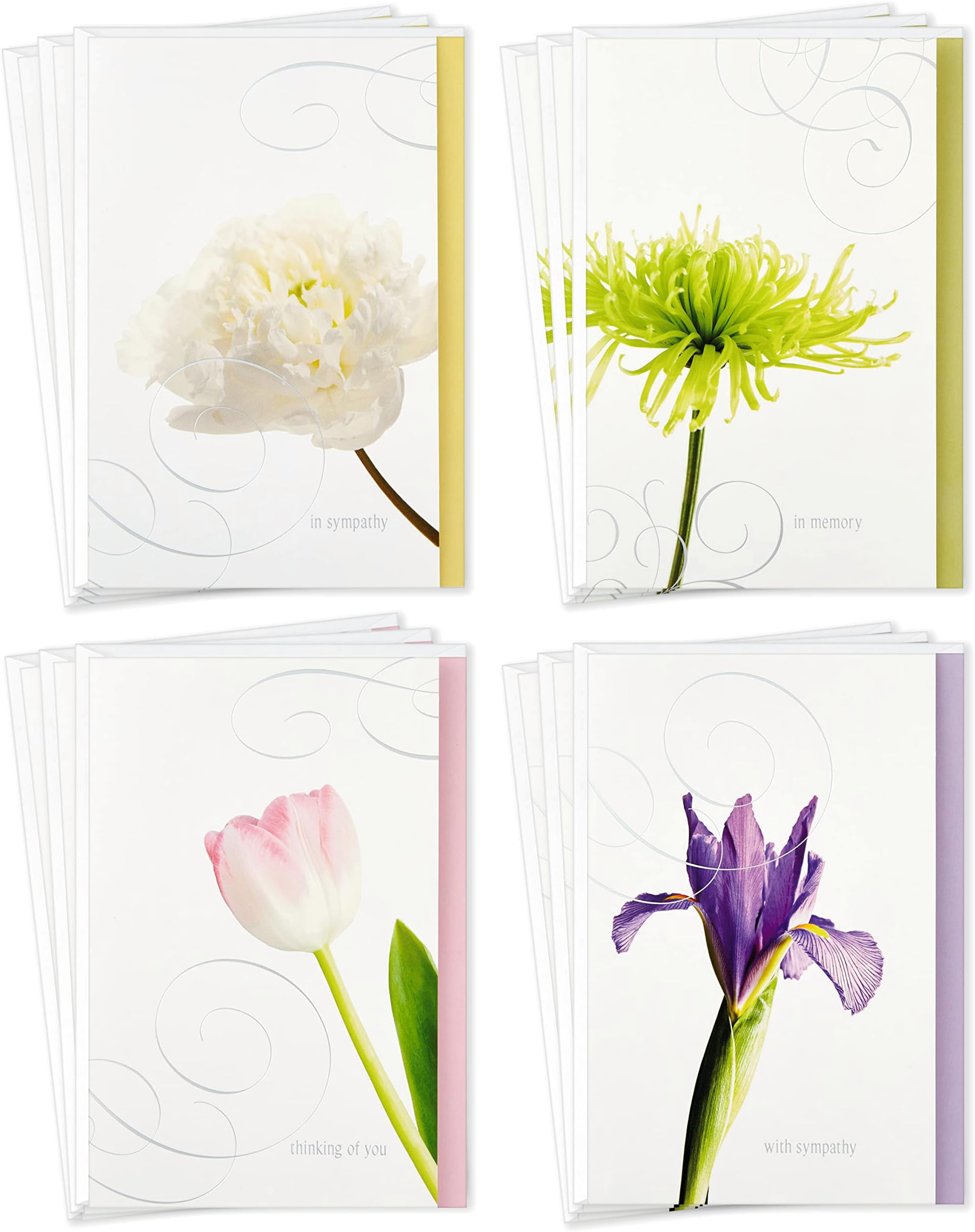 (Flowers) - Assorted Sympathy Greeting Cards (Flowers, 12 Cards and Envelopes)