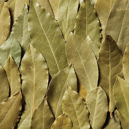 Miniatura 6 de McCormick Hojas de laurel, 0.12 onzas (paquete de 2)