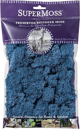 Miniatura 11 de SuperMoss (21710) Musgo de Reno Conservado, Verde Bosque, 1.36kg