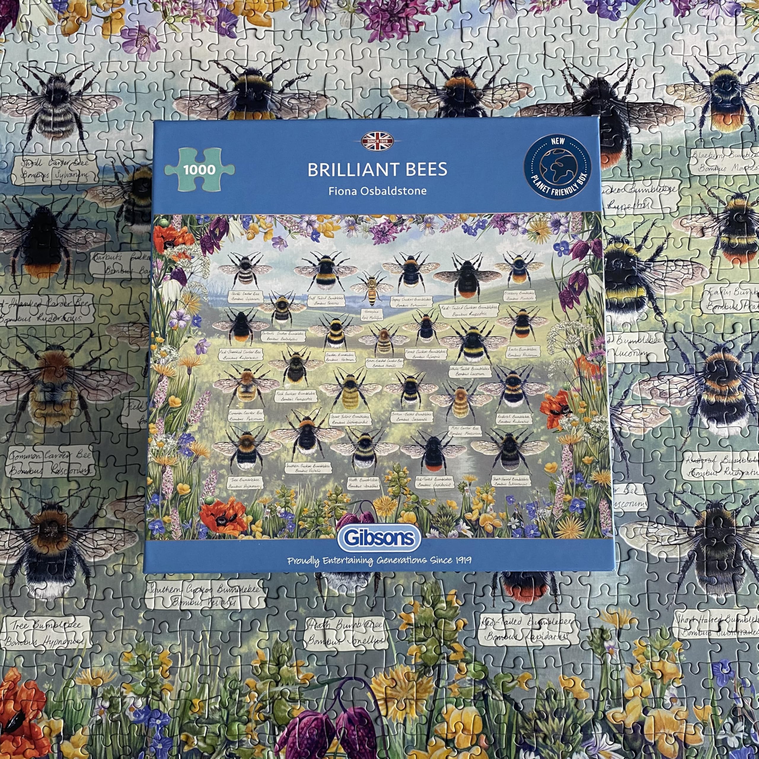 Gibsons Brilliant Bees 1000 Piece Jigsaw Puzzle, 48.5 cm x 68 cm - Image 4