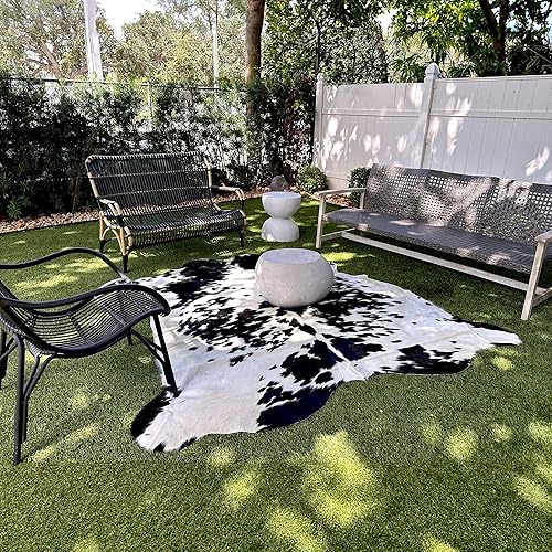 Miniatura 10 de Appaloosa Cowhides Alfombra de piel de vaca auténtica, alfombras naturales en blanco y negro para estética de sala de estar y dormitorio, alfombra