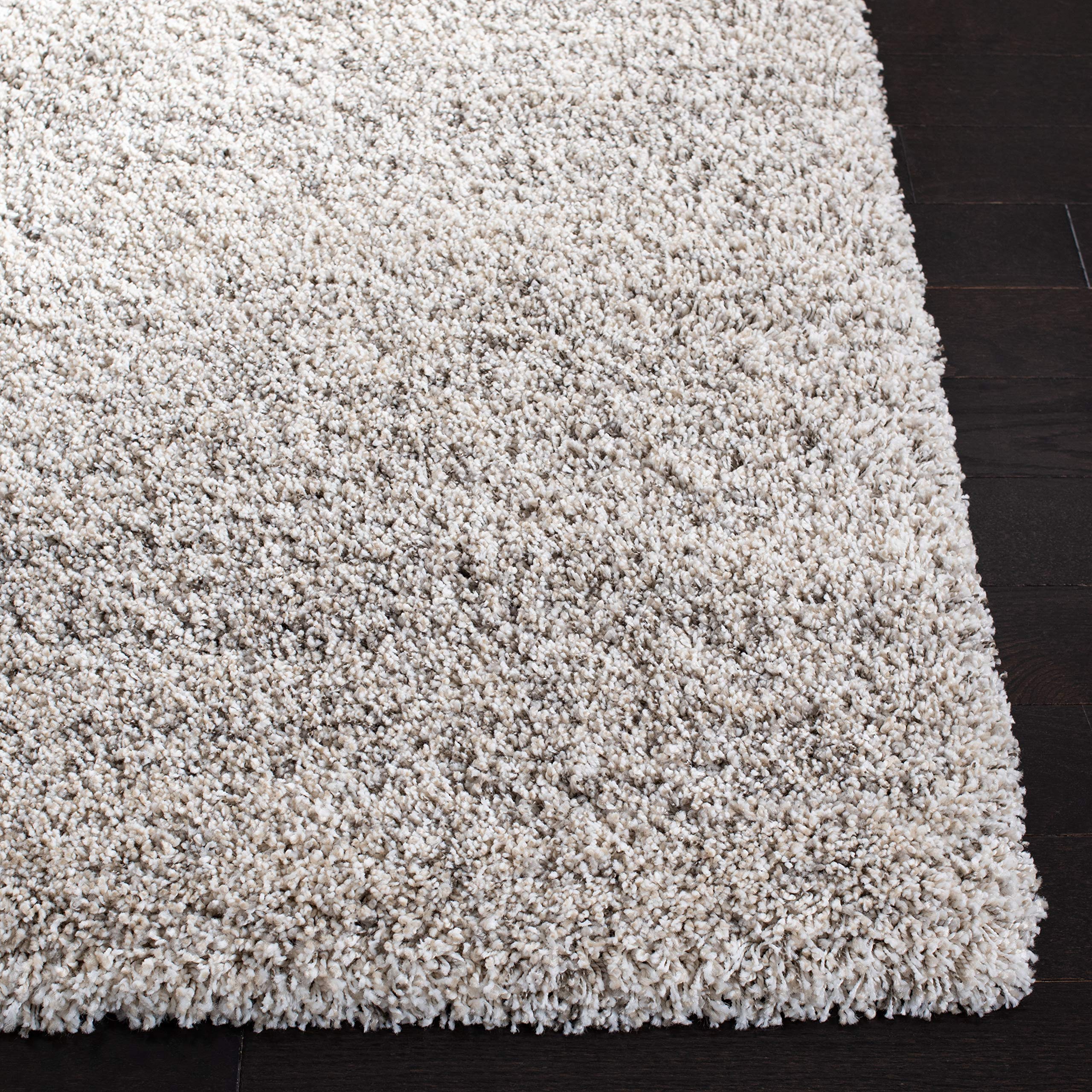 Amazon.com: SAFAVIEH Hudson Shag Collection Area Rug - 5'3
