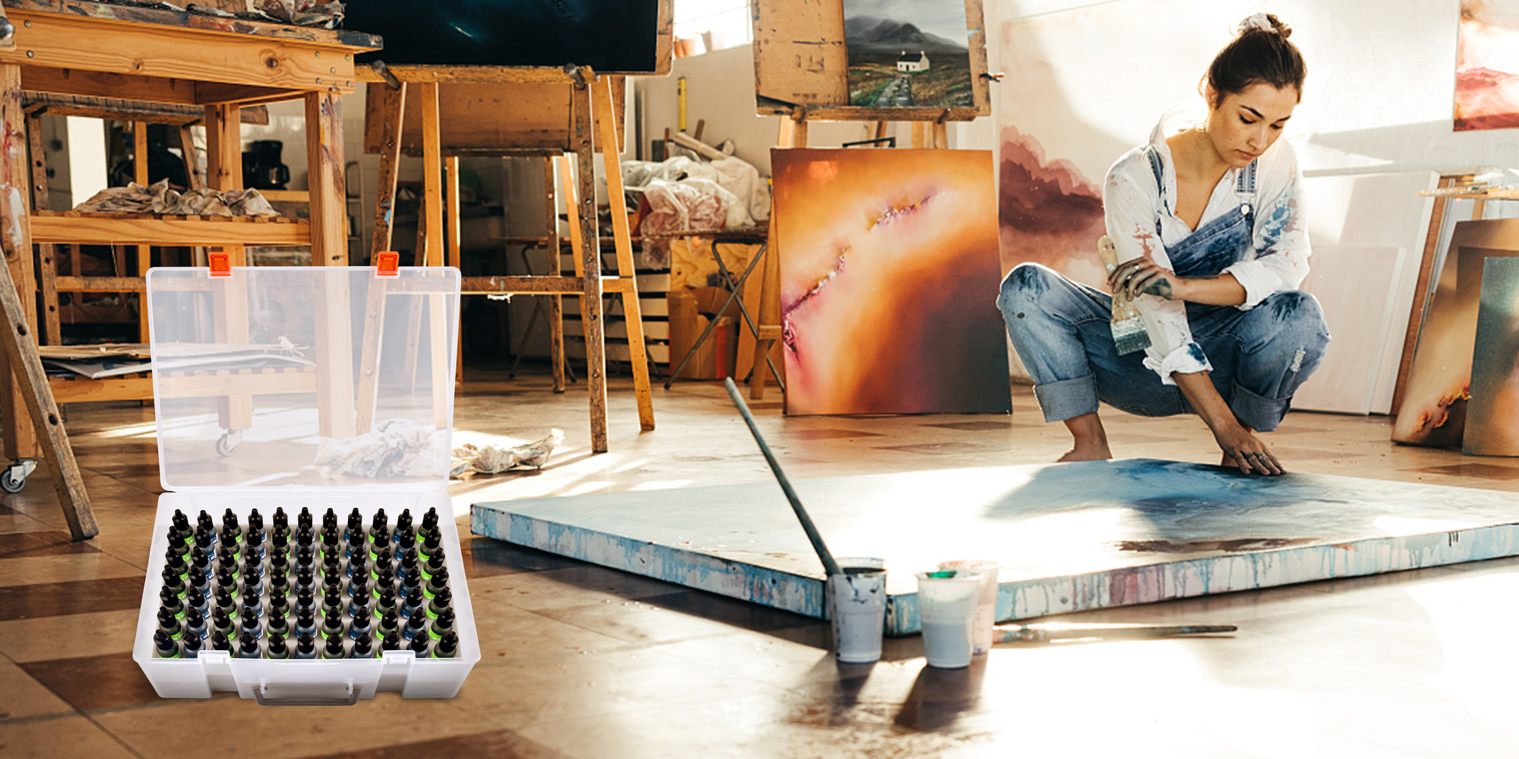 Amazon.com: Alcohol Ink Storage Case and Paint Carrying Organizer