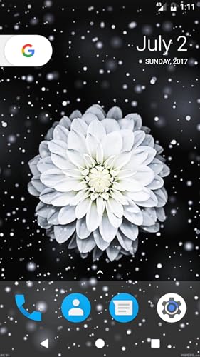Flower Sprinkle HD Wallpapers