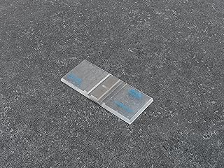 Hemacytometer, Two Counting Areas