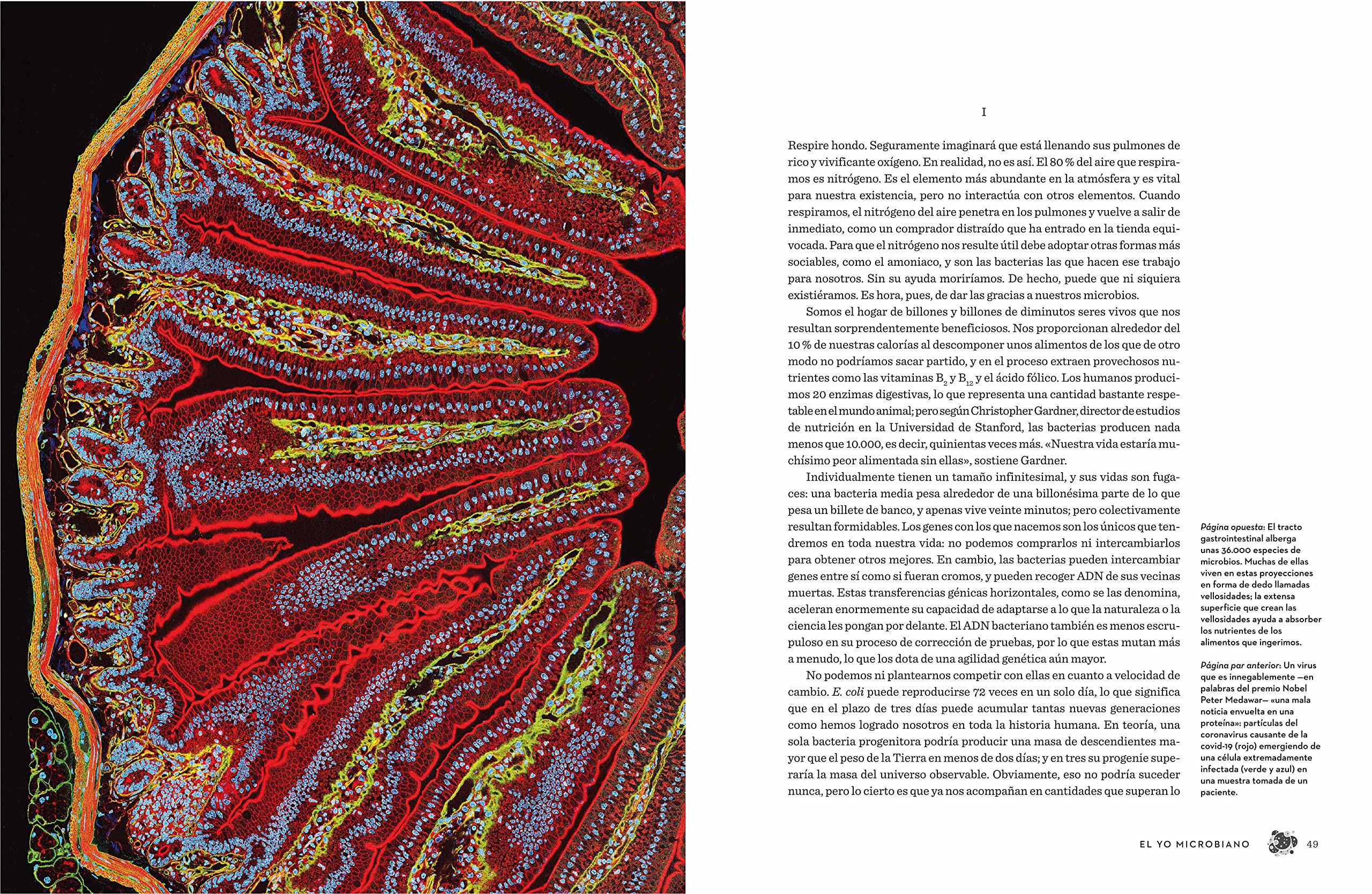 El cuerpo humano (edición ilustrada): Una guía para ocupantes (Divulgación)