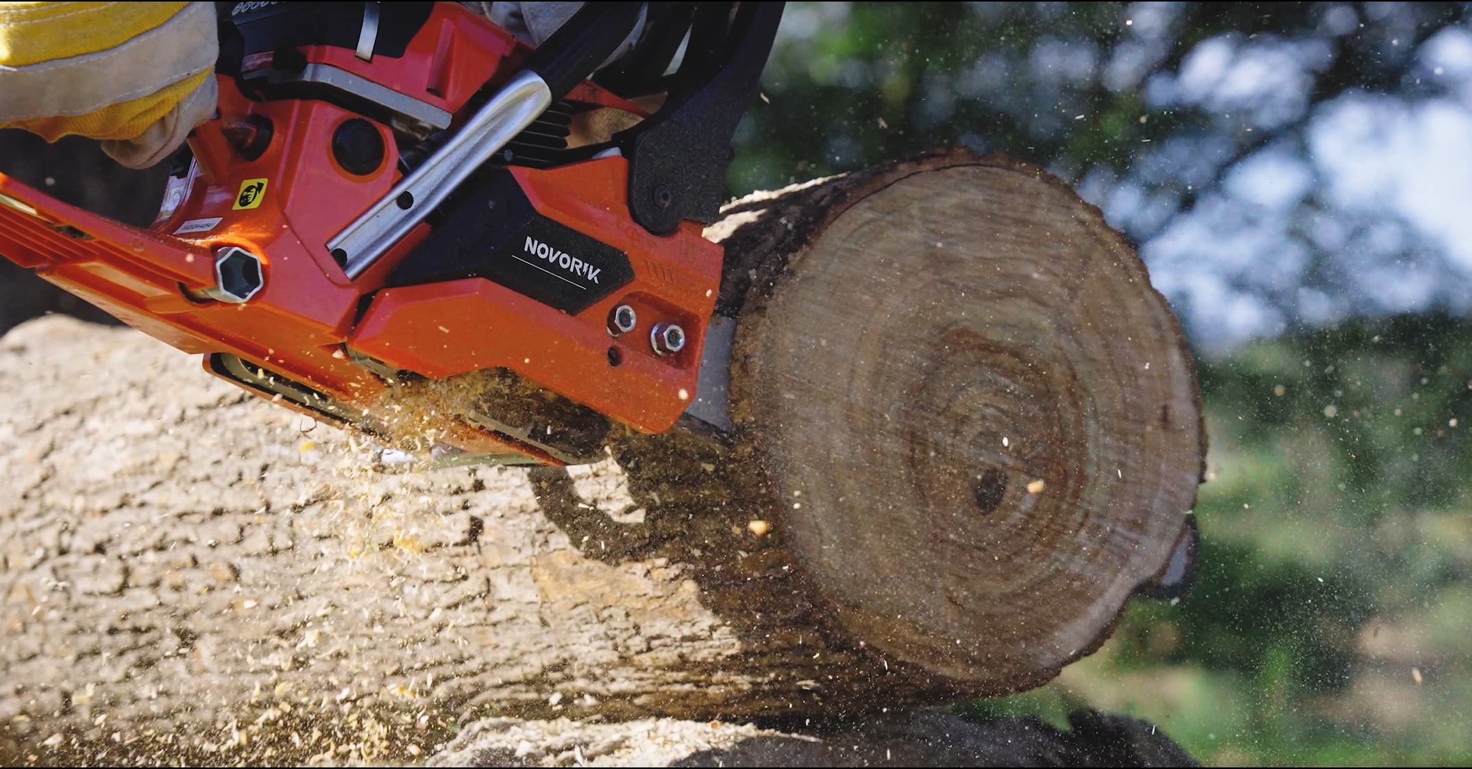 Amazon.com : 2.7 HP 55CC Gas Chainsaw Powered 20 Inch Chain Saws