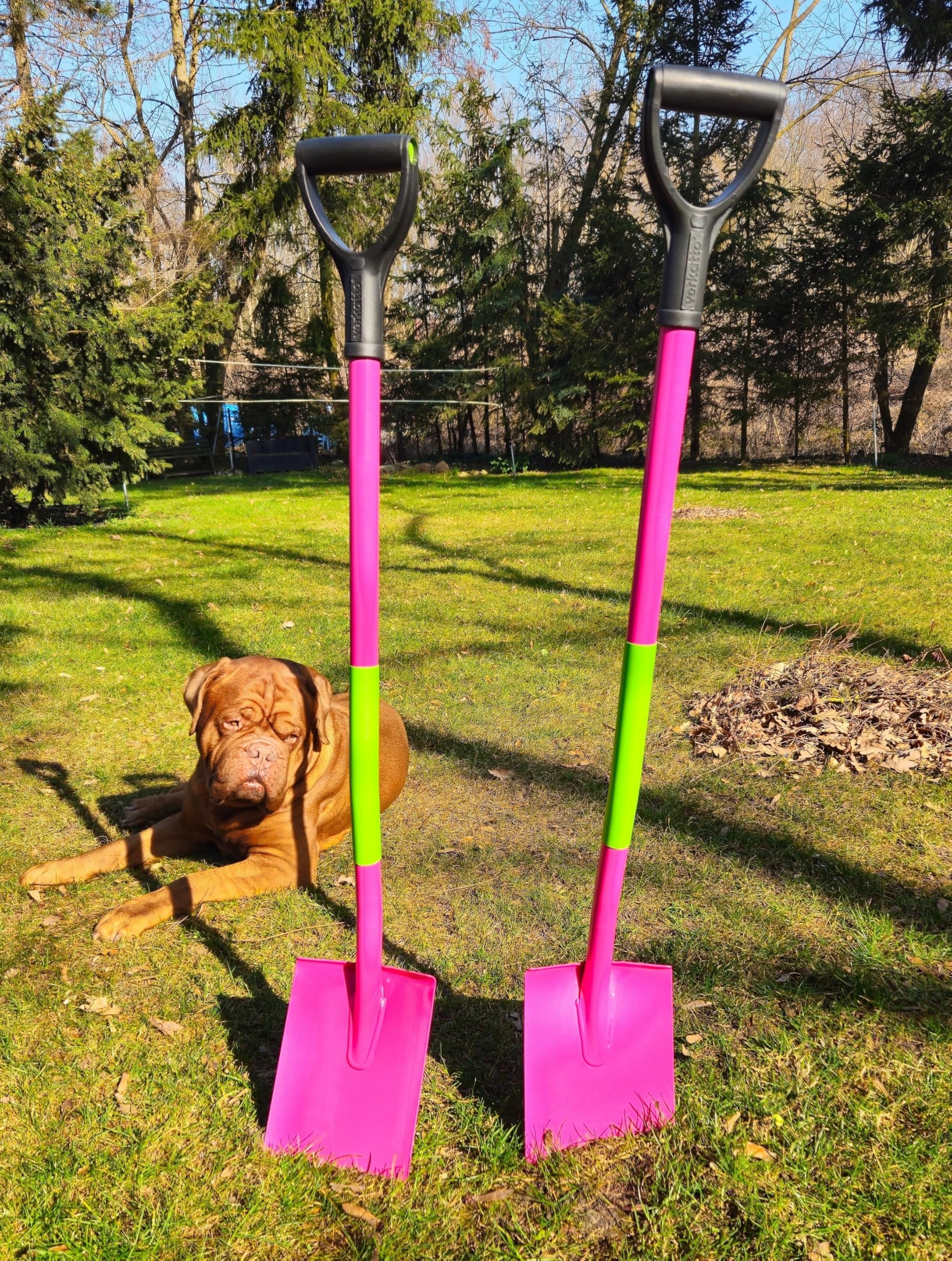 Mivos 2X Gartenspaten aus Gehärtetem Borstahl 115 cm Spitzspaten Runder Spaten mit Ergonomischem Stiel D-Griff Breite Trittkante Made in EU