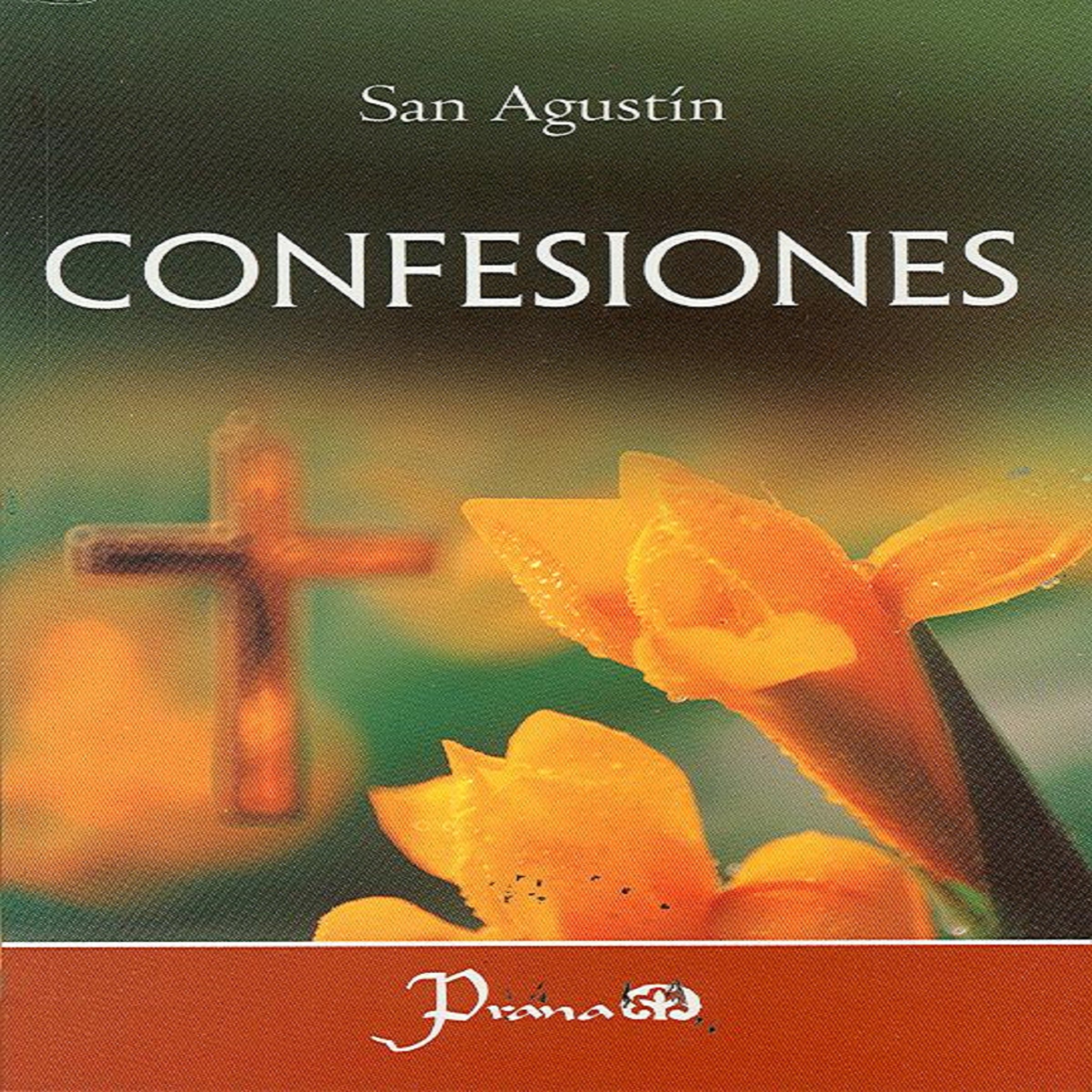 Confesiones (Spanish Edition)