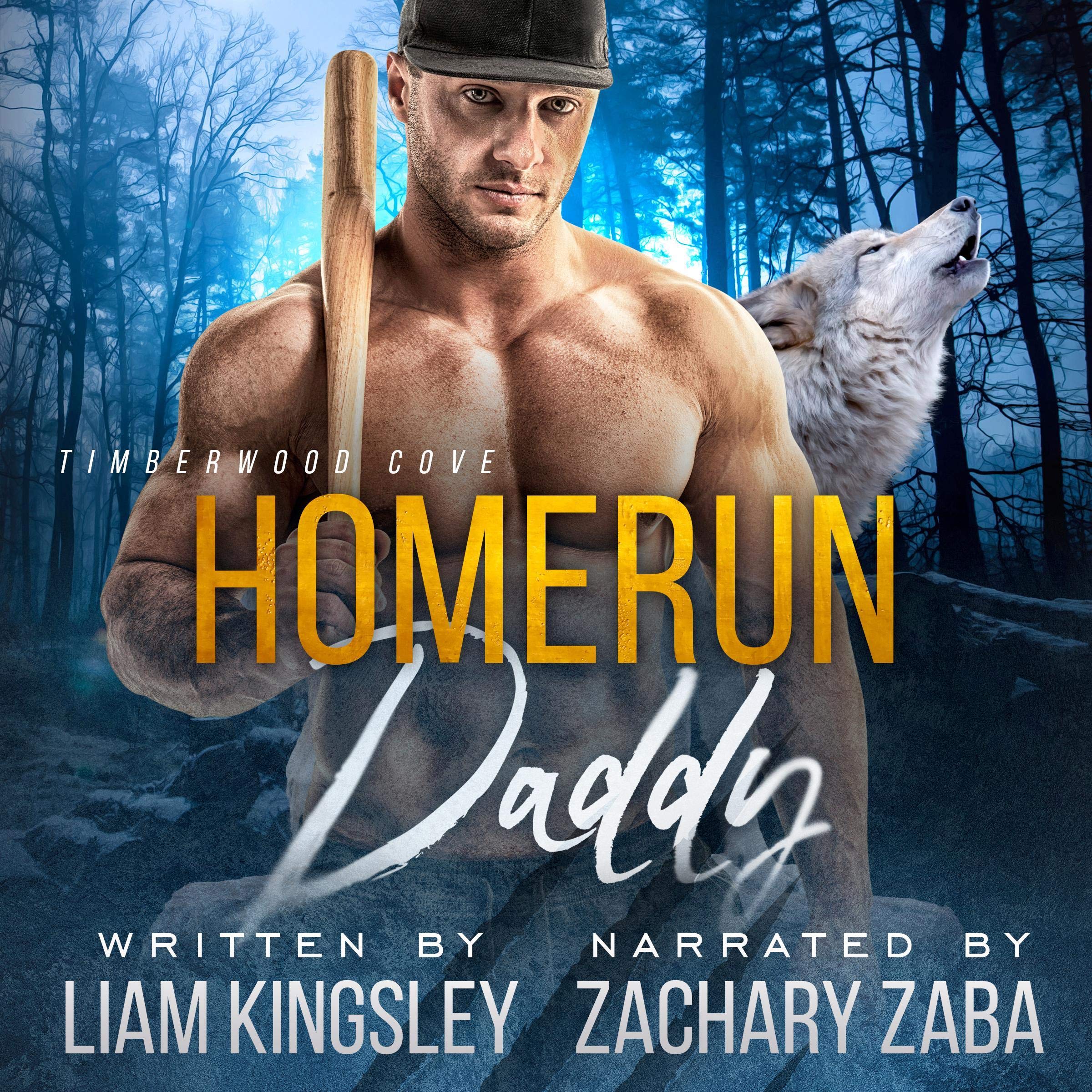 Cover art for Homerun Daddy