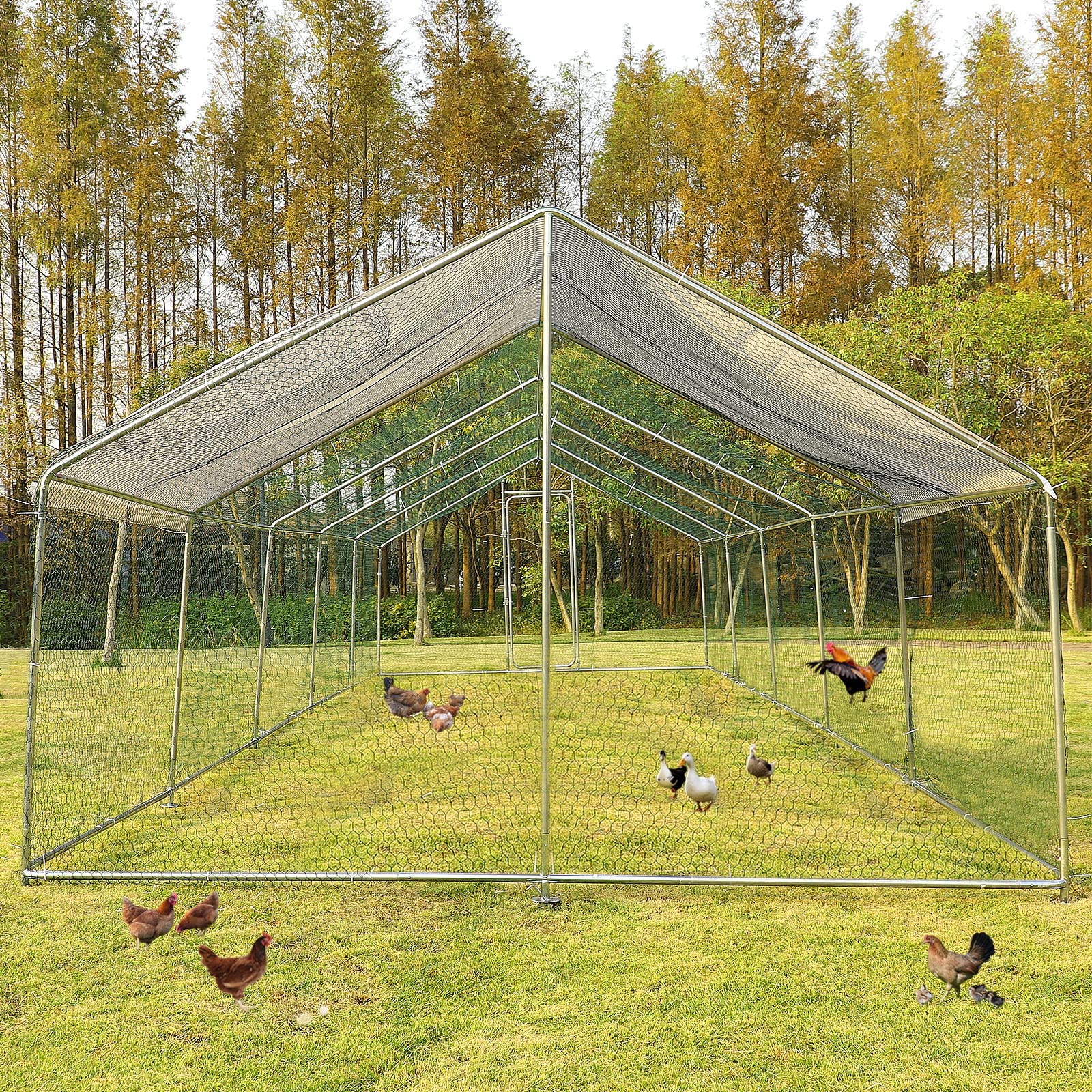 Buy LEISU Outdoor Large Chicken Run Walkin Chicken Coop with