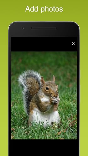 iRecord App – vue 4