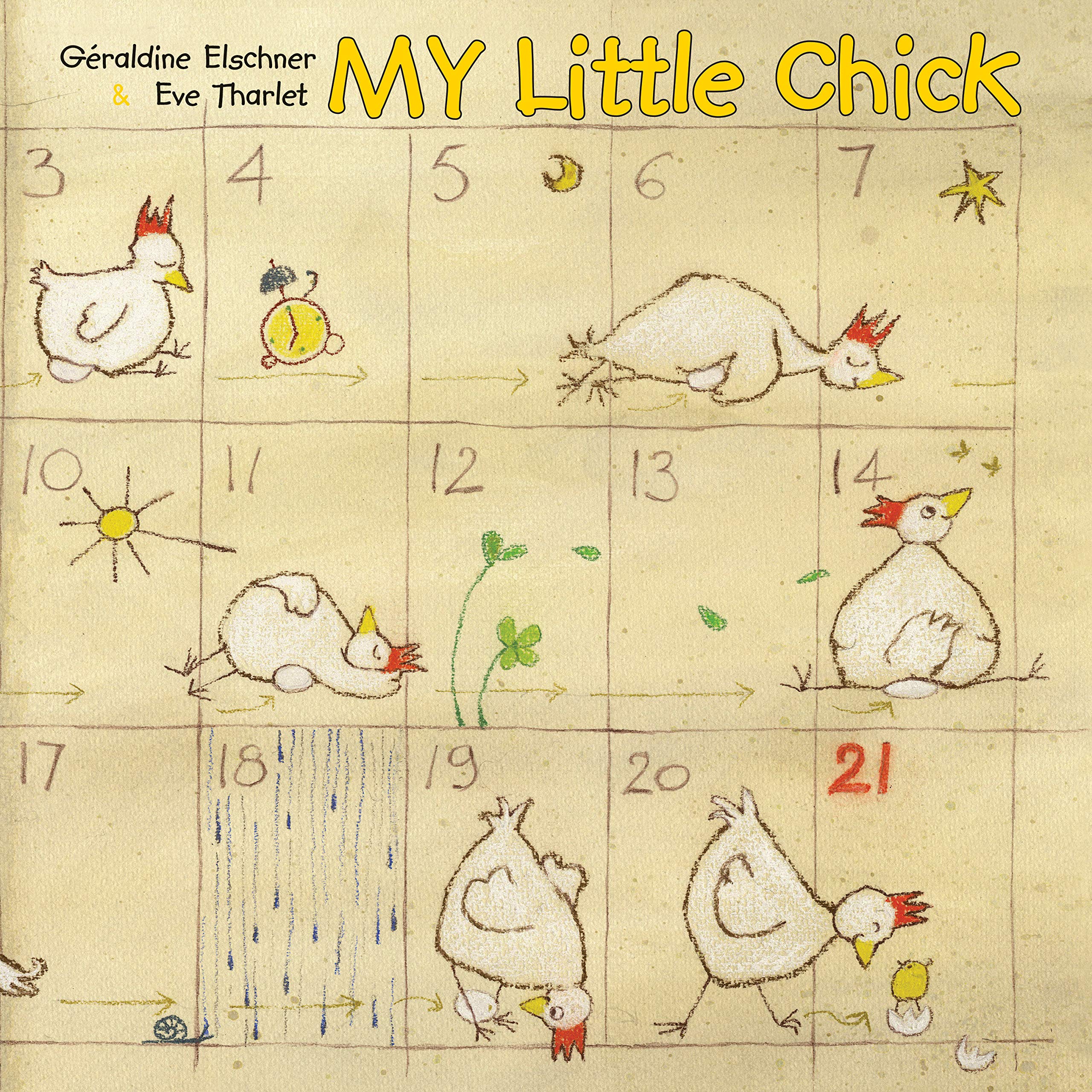 My Little Chick: From Egg to Chick