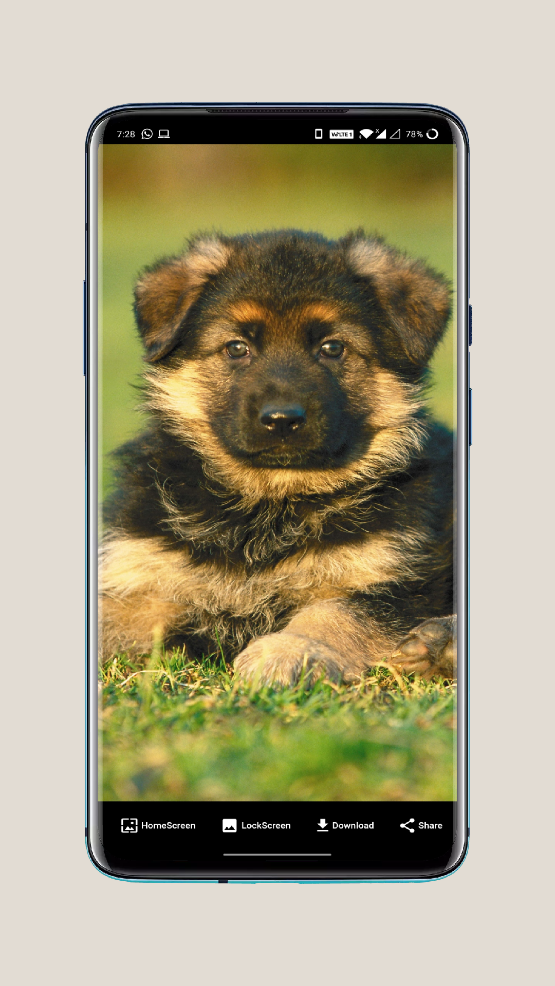 HD Dog Wallpapers & BackgroundsAmazon.inAppstore for Android