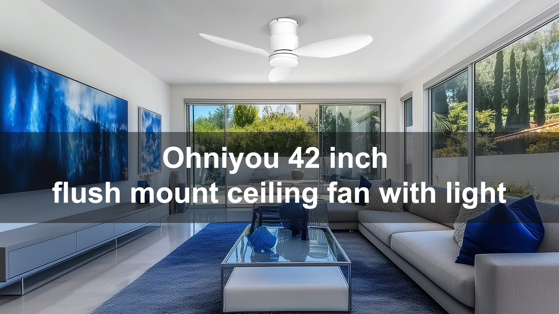 Ohniyou Ceiling Fan Package Contents