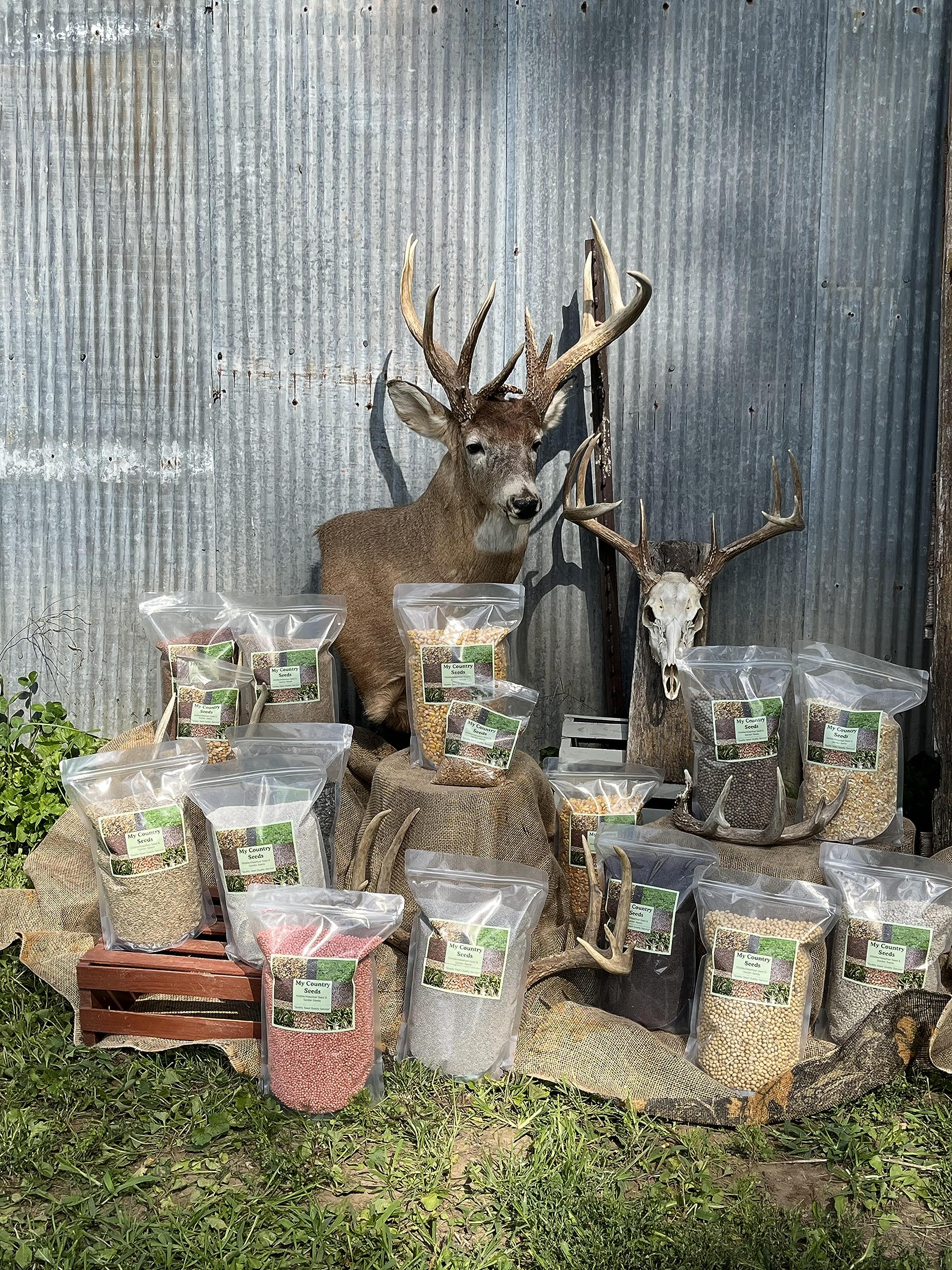 5 lb. Alfalfa Seed Deer Wildlife Forage Grazing Food Plot Seed