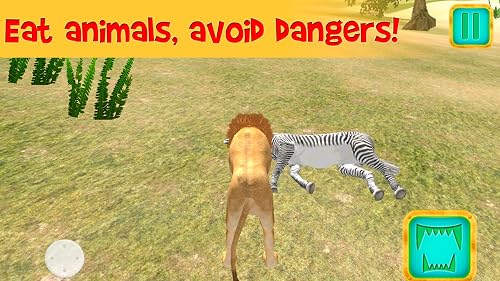 African Lion Simulator 3D | African Hunting Jungle Adventure Survival Evolution Lion Simulator 3D - Thumbnail 3