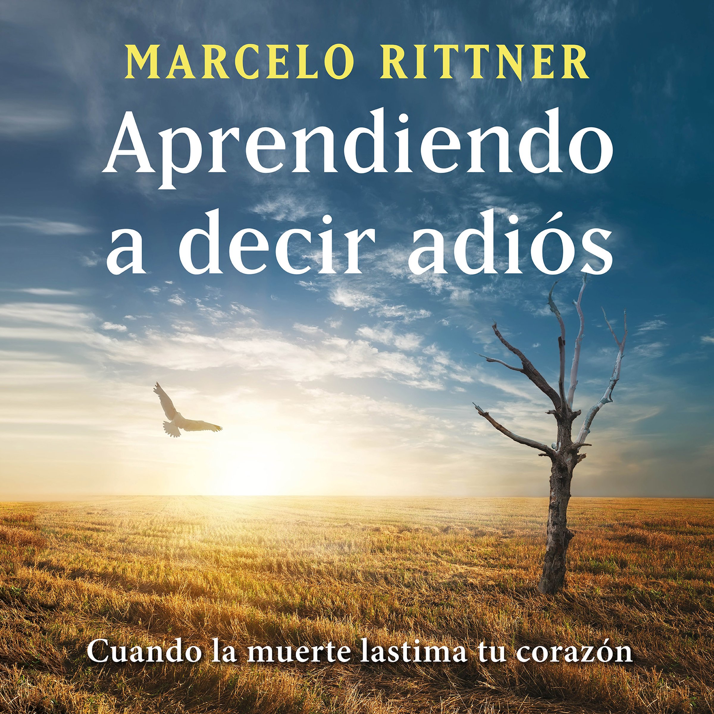Cover art for Aprendiendo a decir adiós (edición de aniversario) [Learning to Say Goodbye]